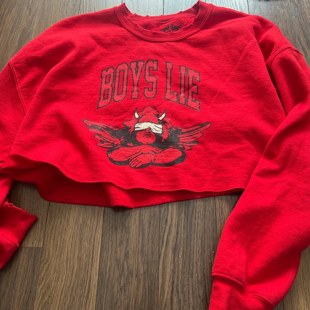 boys lie cropped crewneck!